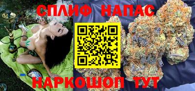 дмт Гатчина