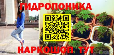 дмт Гатчина