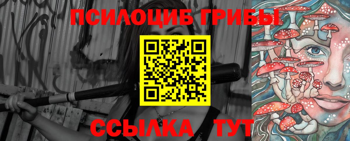 Протвино  Галлюциногенные грибы мухоморы  закладка  Галлюциногенные грибы прущие грибы  Вход с VPN 